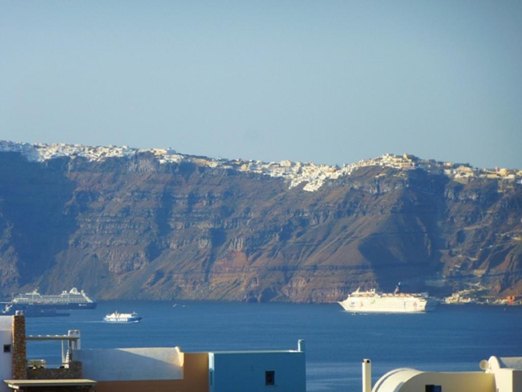 Thira's Dolphin