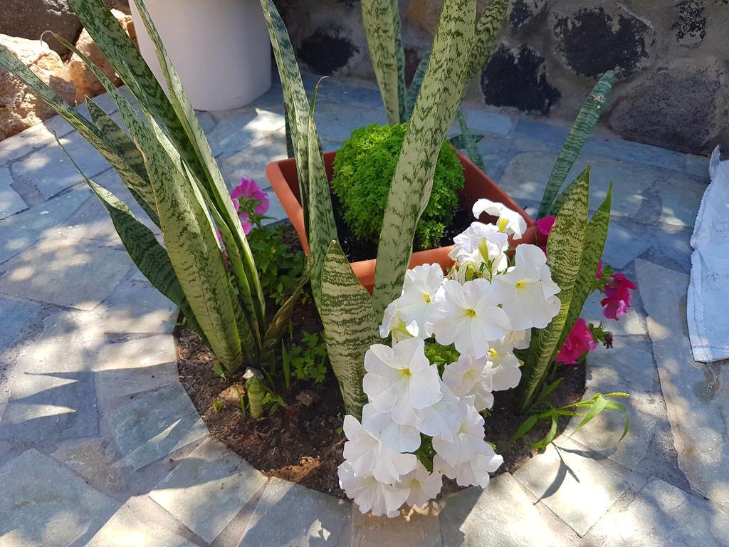 Aparthotel Ira Kamari (Santorini)