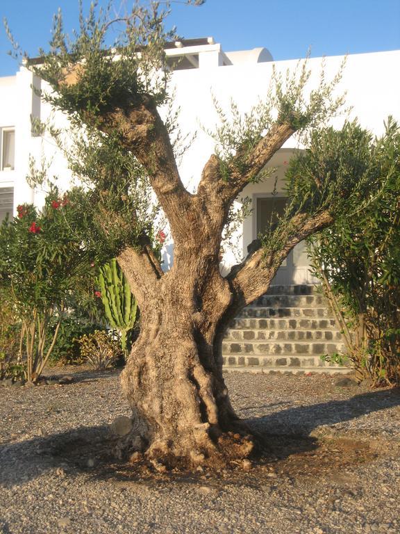 Sun Anemos Oia (Santorini)
