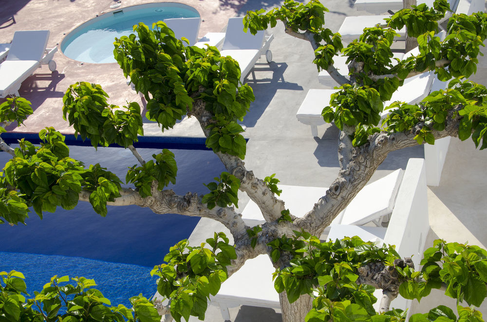 Rk 4* Kamari (Santorini)