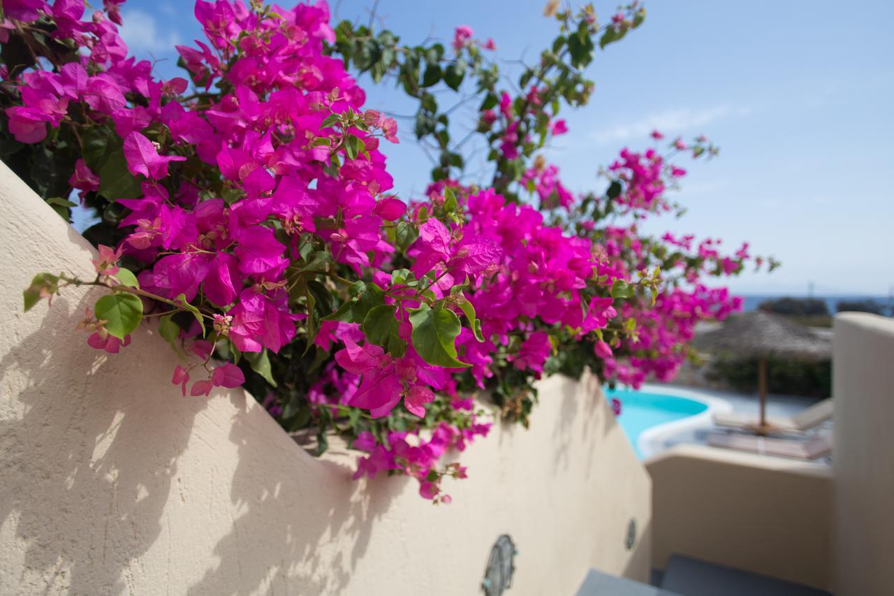 Theros Houses Santorini Kamari (Santorini)