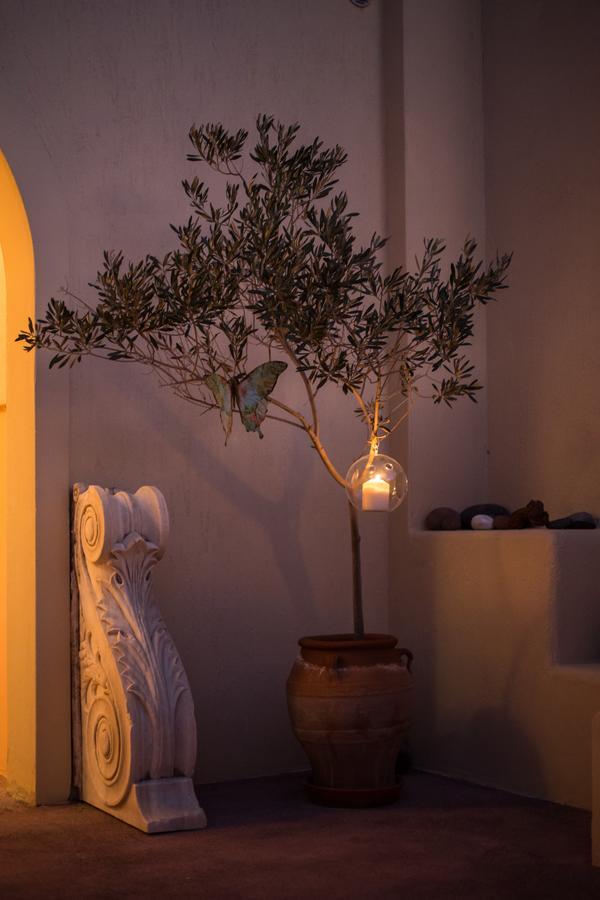 Theros Houses Santorini