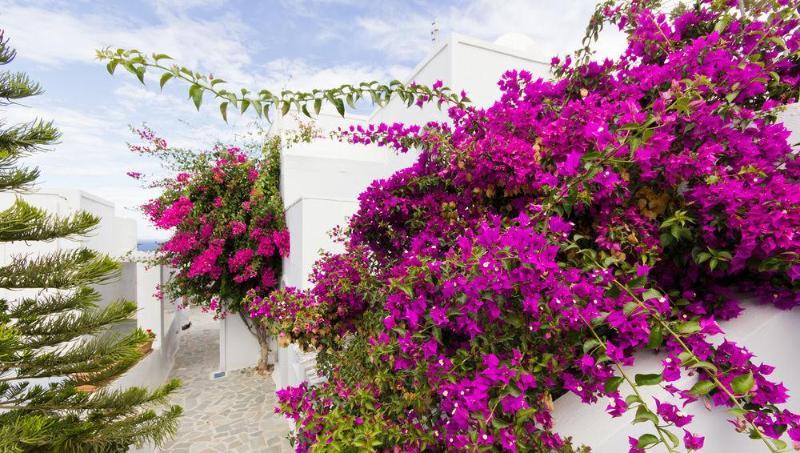 Unique Galini - Adults Only Aparthotel Oia (Santorini)