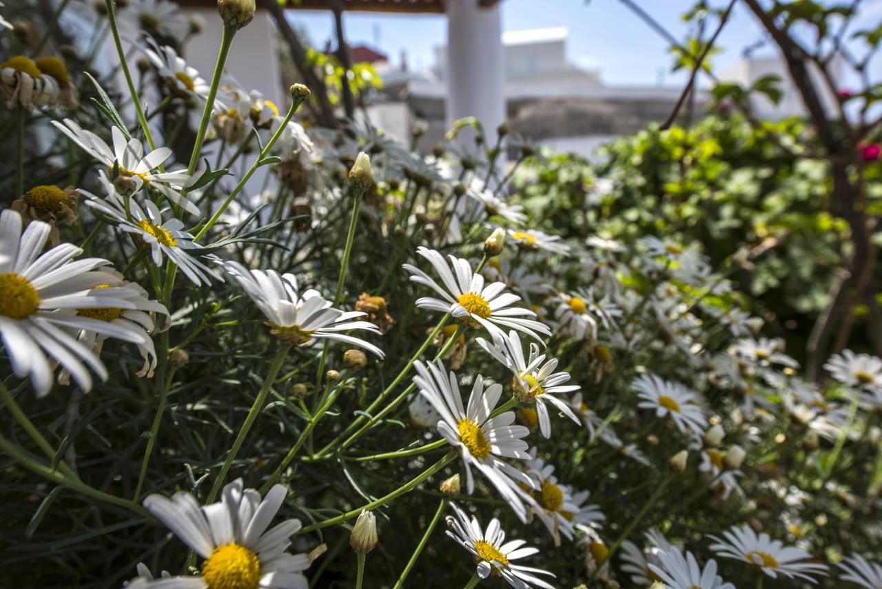 Fava Eco Aparthotel