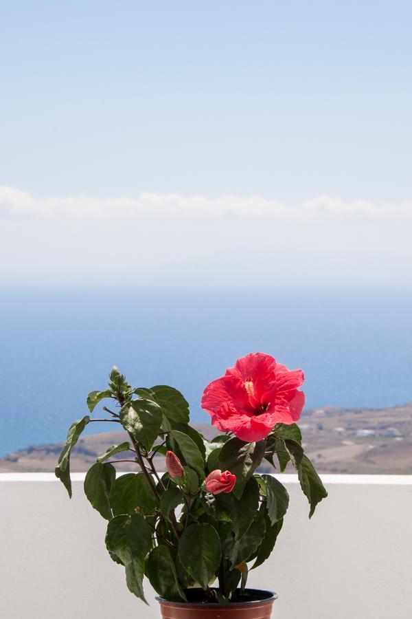 Apartment Luna Rossa Santorini