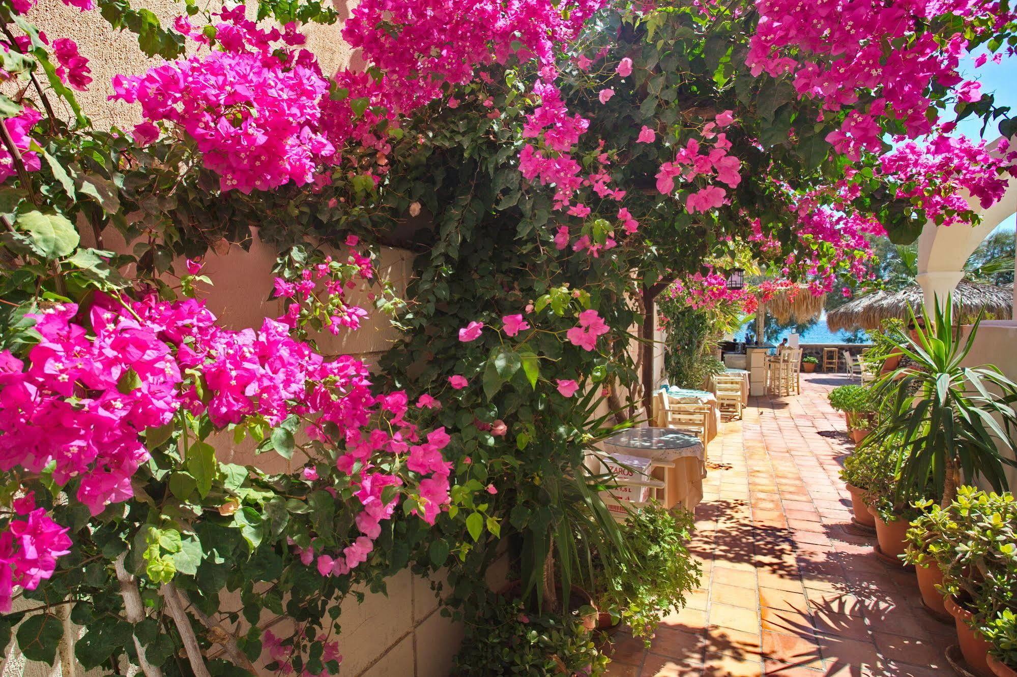 The Boathouse Hotel 3*