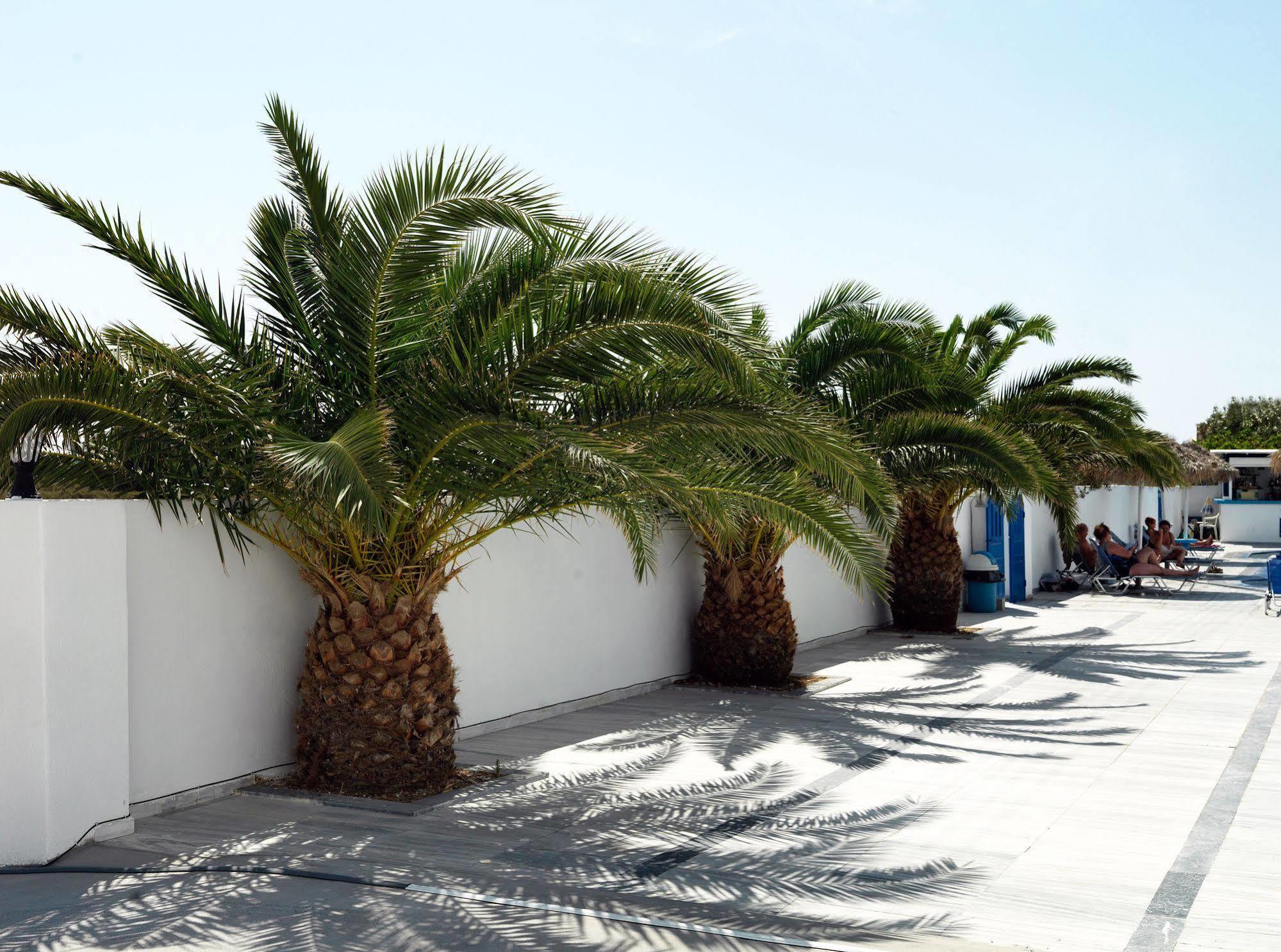 Valvis 2* Perissa (Santorini)