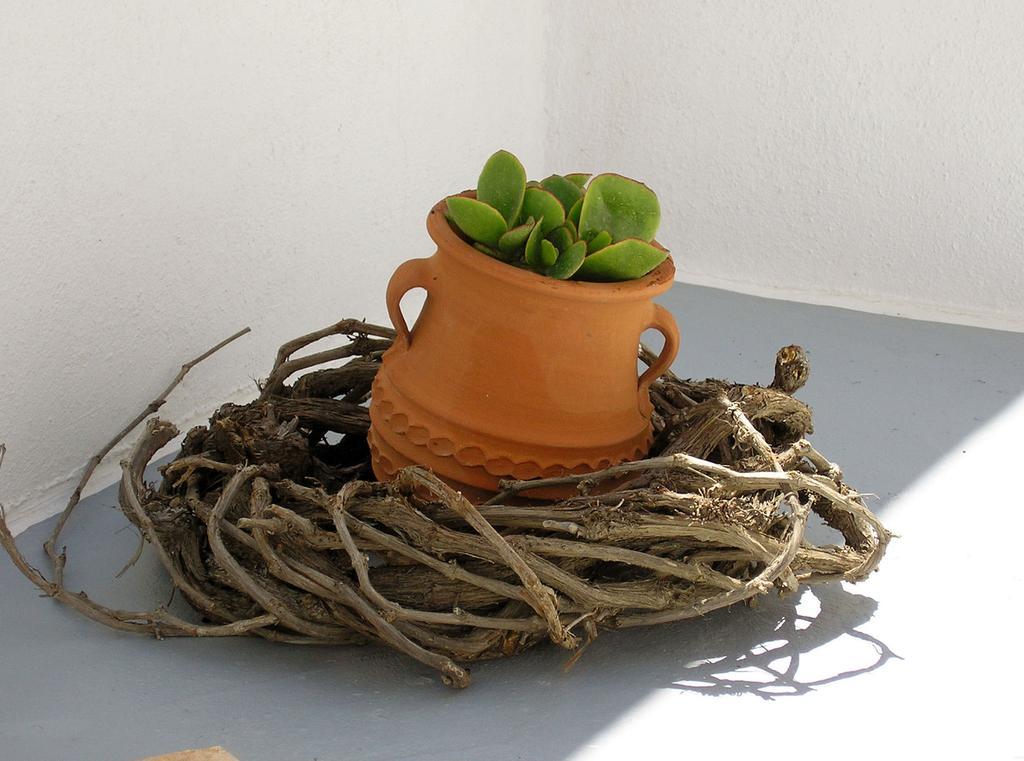 Casa de hóspedes Irida - Santorini