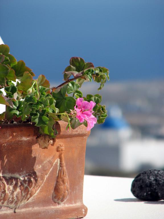 Irida - Santorini Casa de hóspedes 4*