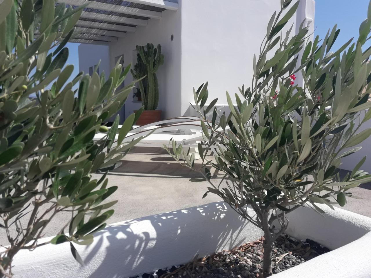 Sun Anemos Apartment *