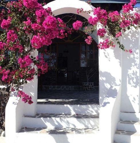 Adamastos 3* Akrotiri (Santorini)