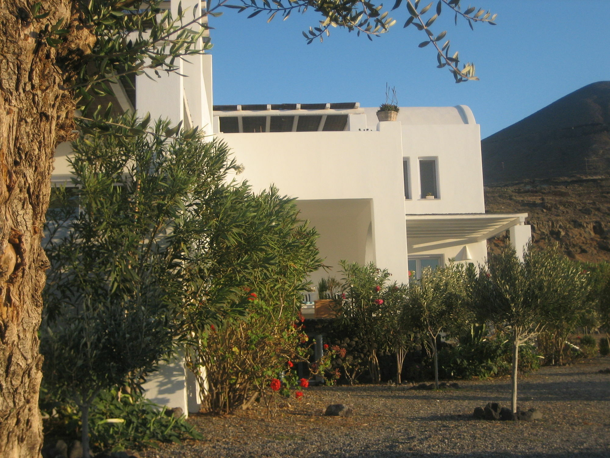 Sun Anemos