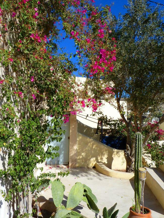 Barbarossa Holiday home *