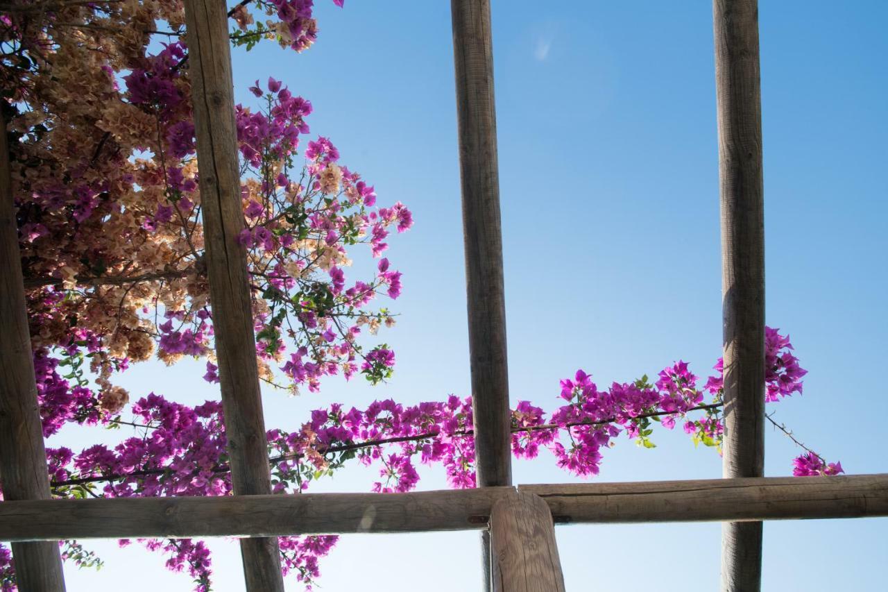 Villa E & E Kamari (Santorini)