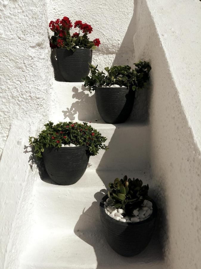 Santorinian Lava House *