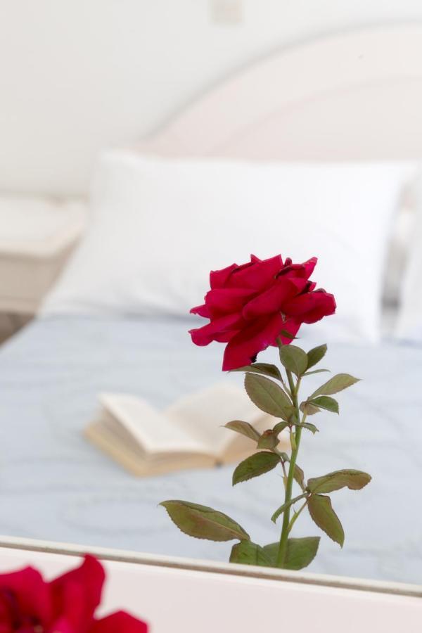 Hotel Areti 3*