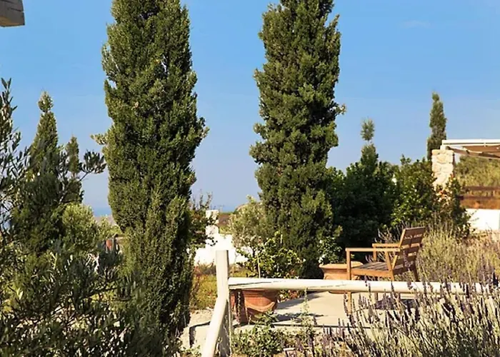 Christou Estate & Villas