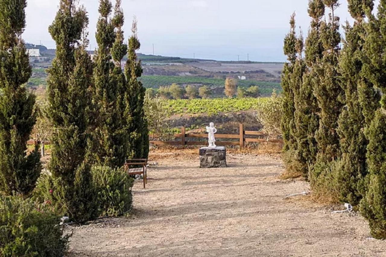 Christou Estate & Pyrgos Kallistis