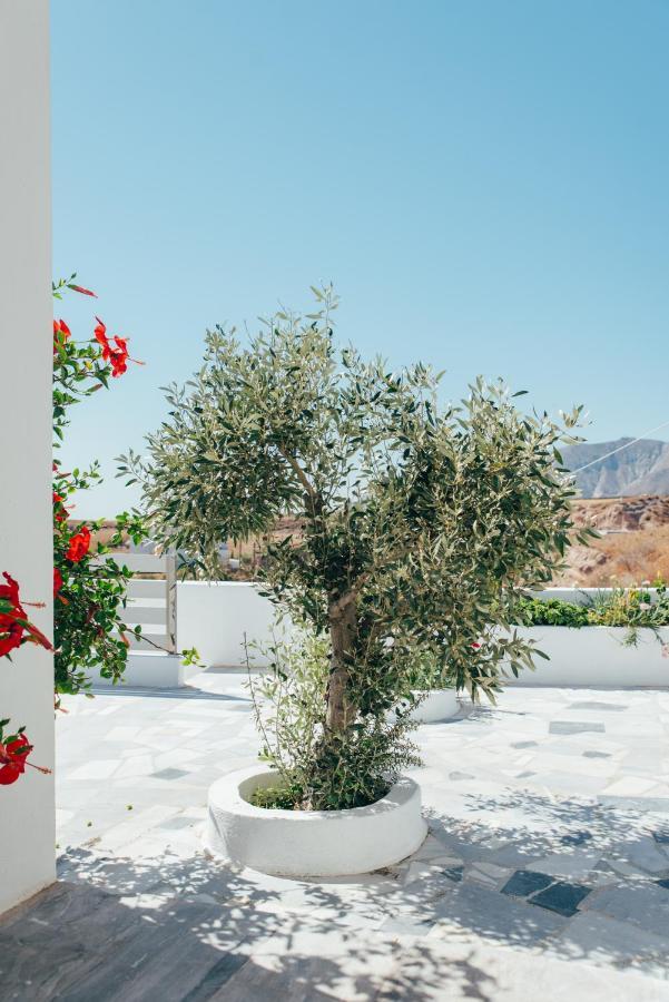 Vigere Luxury * Monolithos (Santorini)