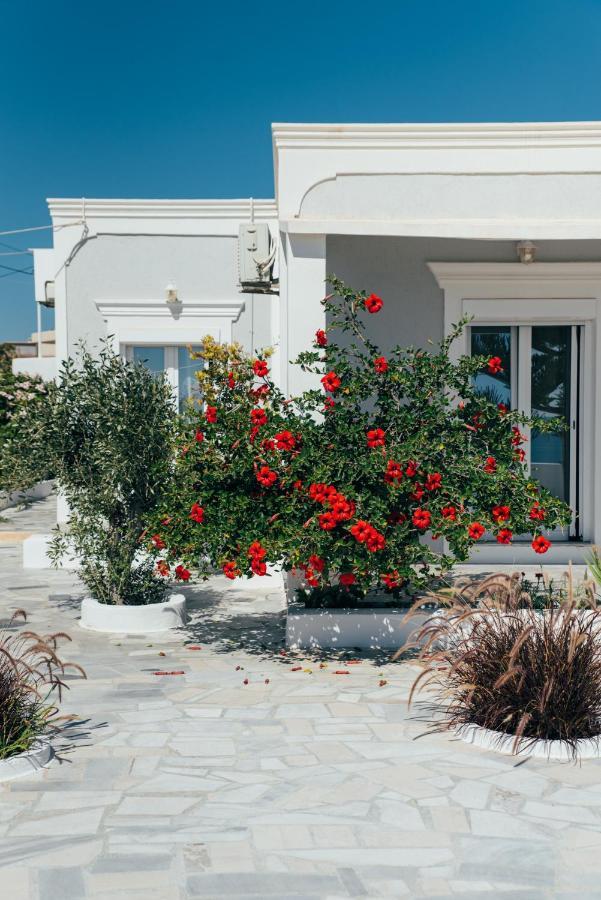 Villa Vigere Luxury
