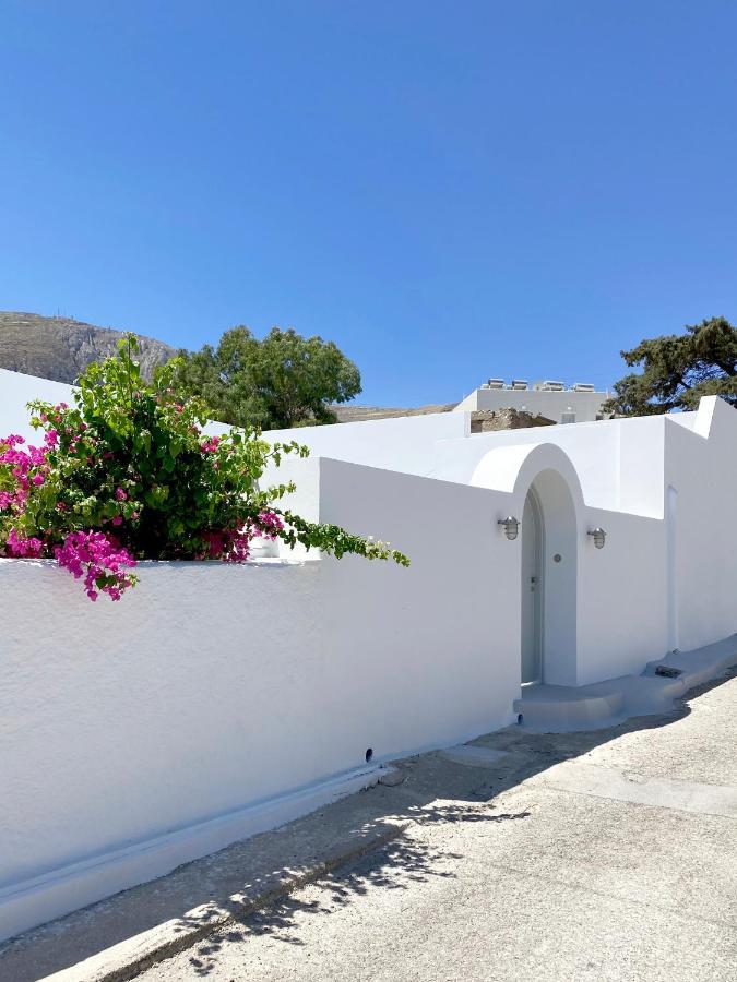 Villa Marousi Cycladic House With Private Pool *