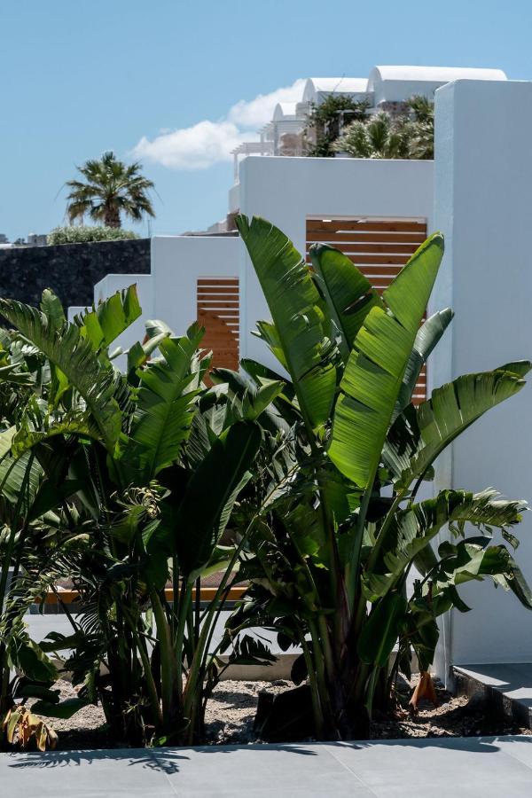 Numa Santorini Villa
