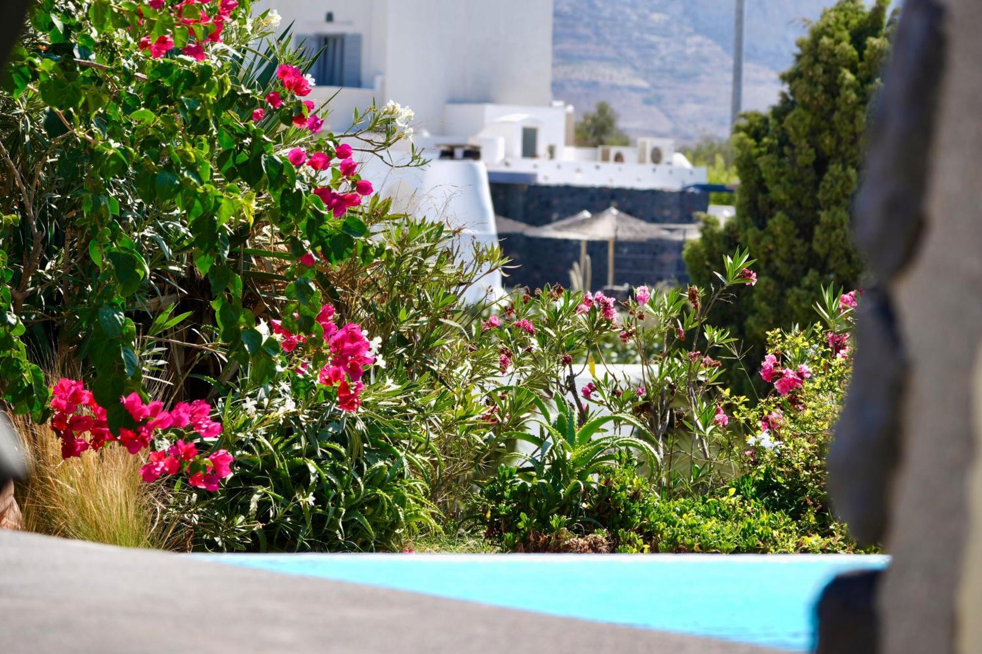 Santorini Heritage Villa *