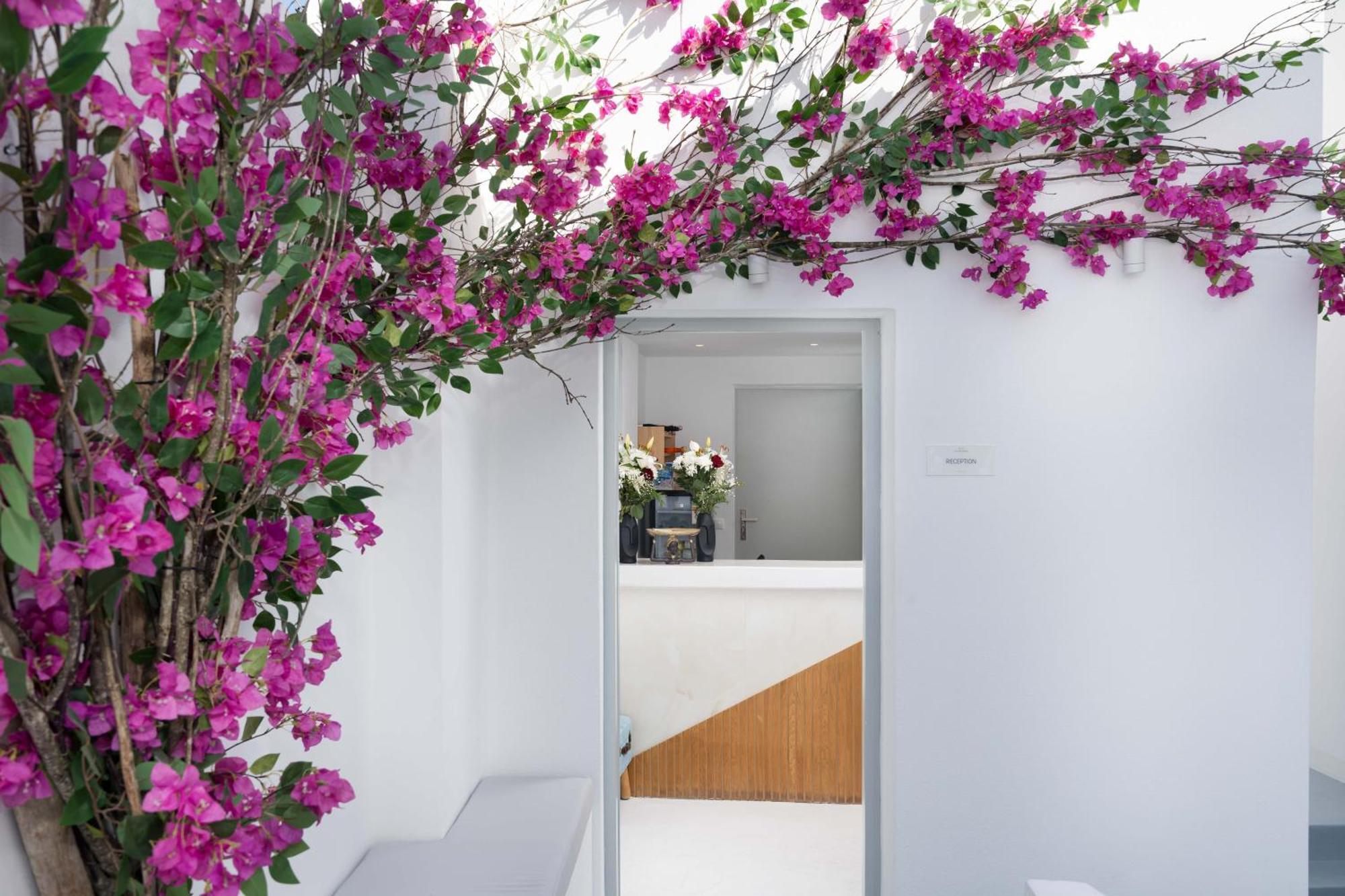 Cycladic & Hotel Fira (Santorini)