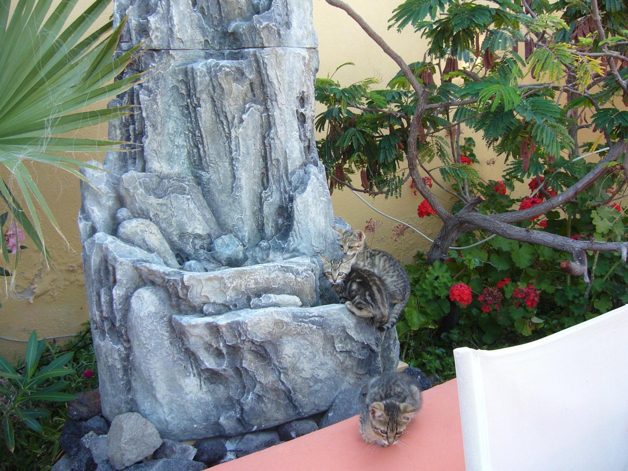 Soulis Oia (Santorini)