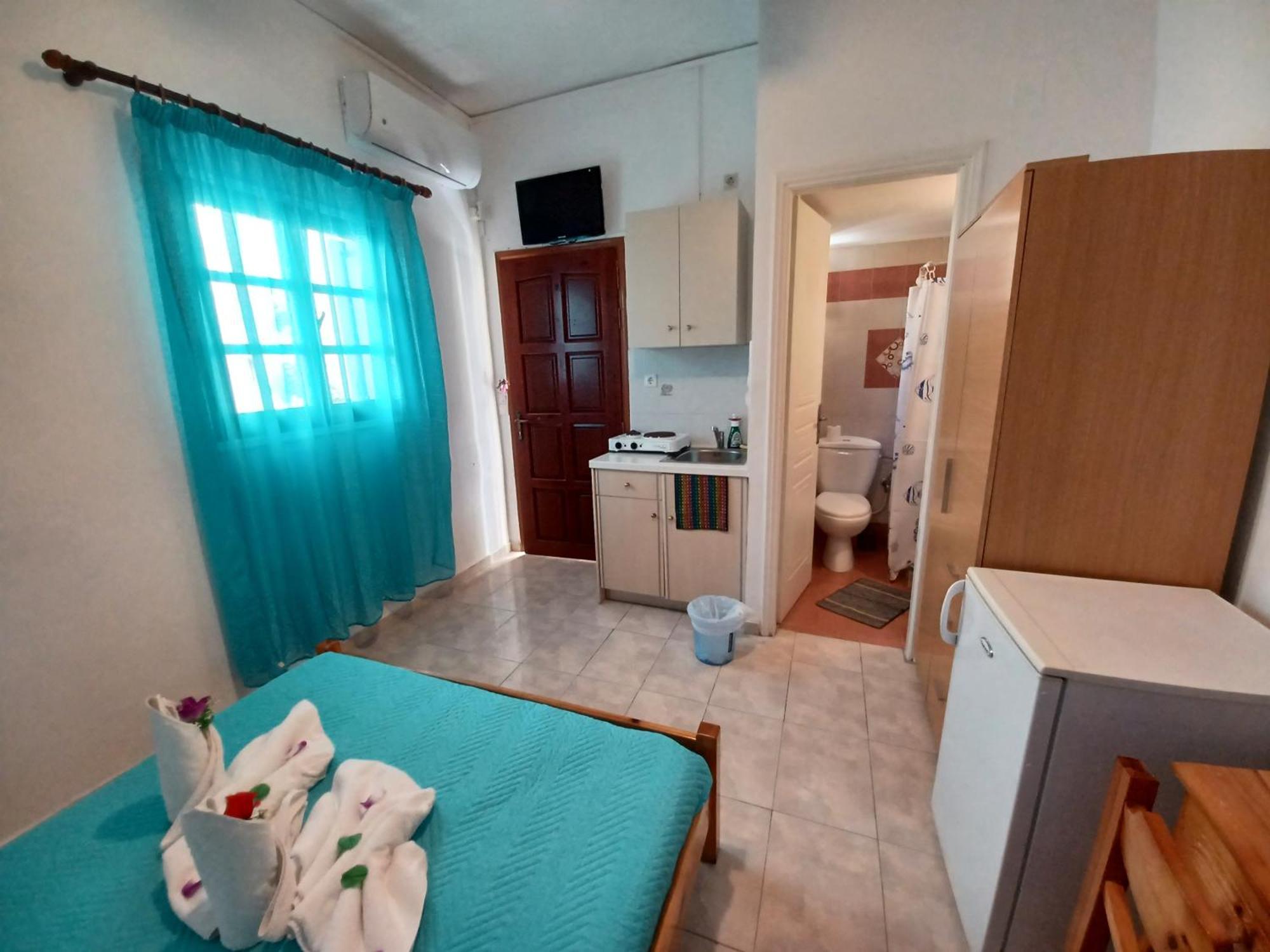 Evelina Pension: Diverse Near Black