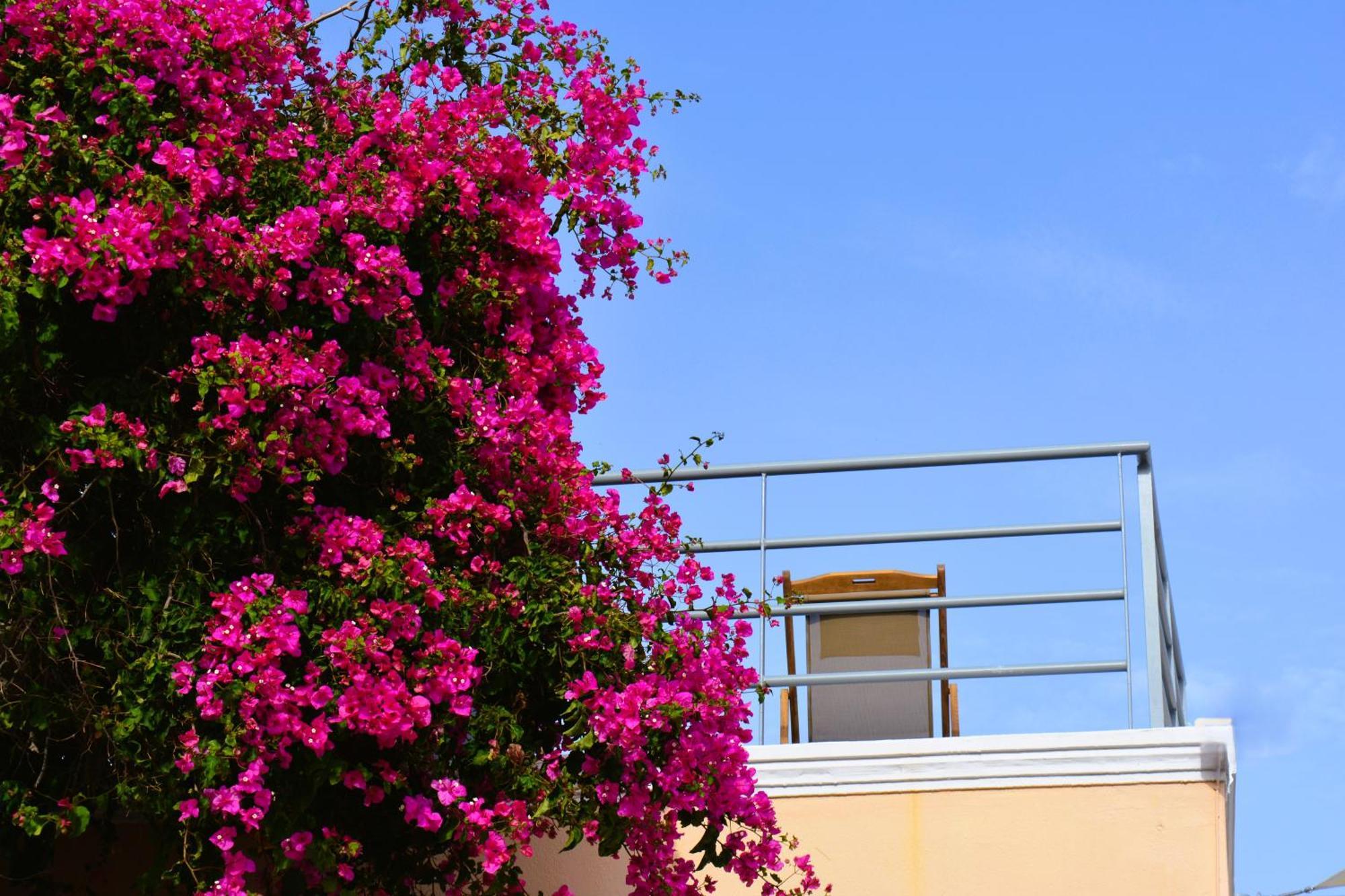 Kykladonisia Traditional Settlement Fira (Santorini)