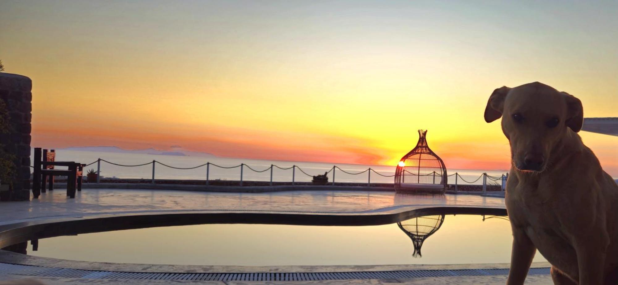 Aparthotel Thea Luxury Fira (Santorini)