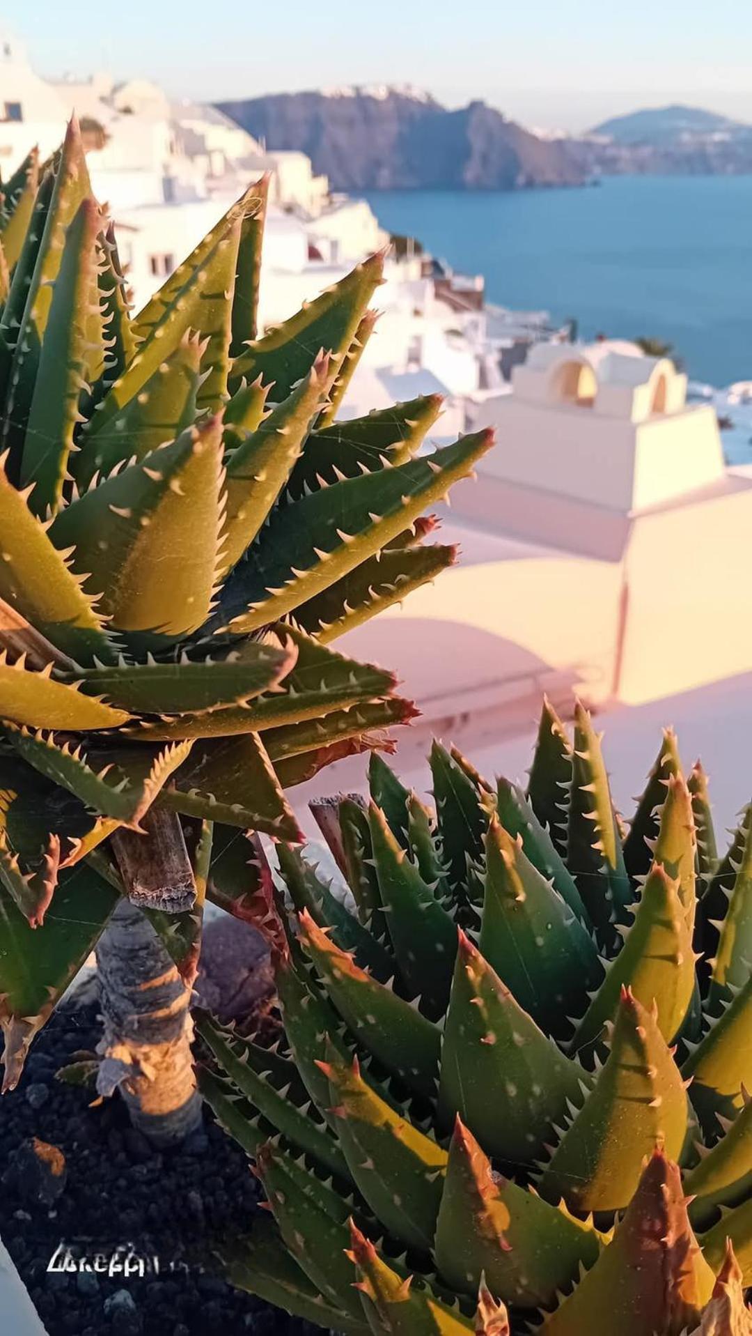 Santorini Ethereal Blue Aparthotel Pýrgos