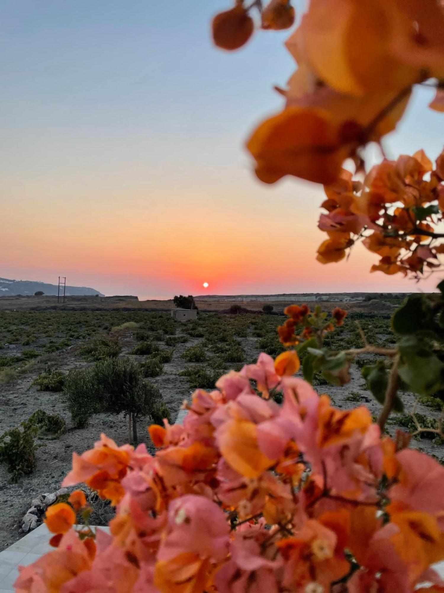 Zana's Villa-sandra * Akrotiri (Santorini)