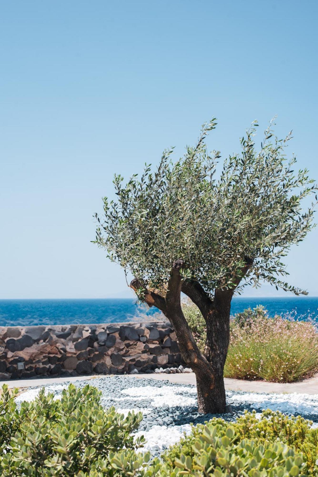 Colombos Beachfront 5* Foinikia (Santorini)