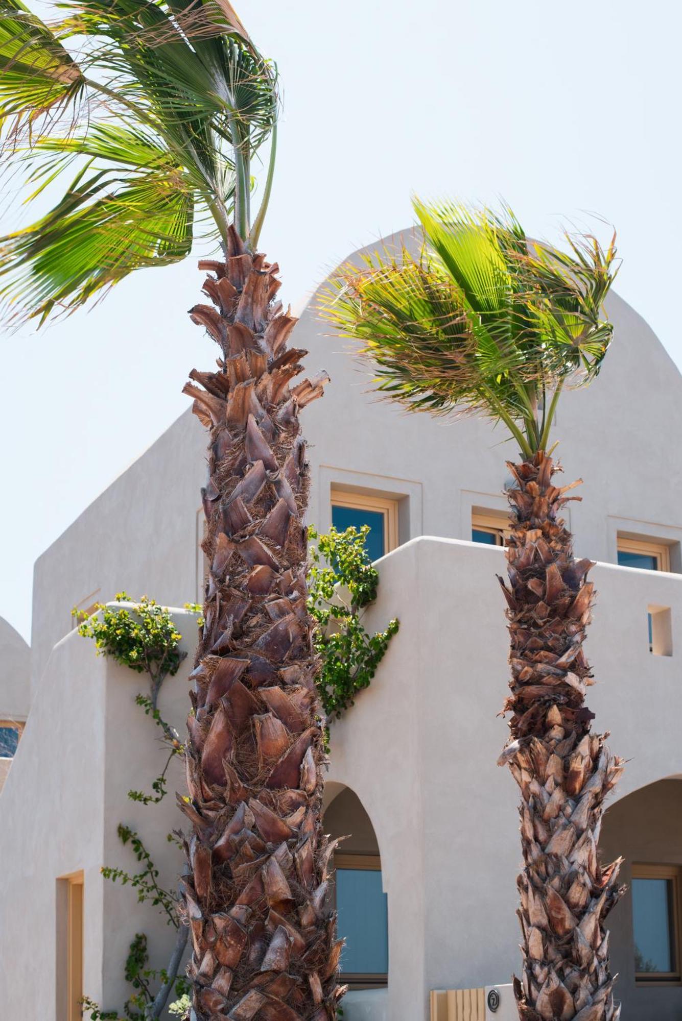 Colombos Beachfront Foinikia (Santorini)