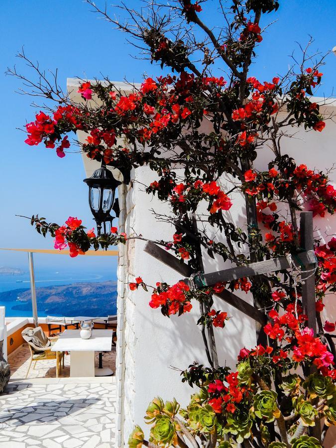 Le Petit Greek Hotel 2*