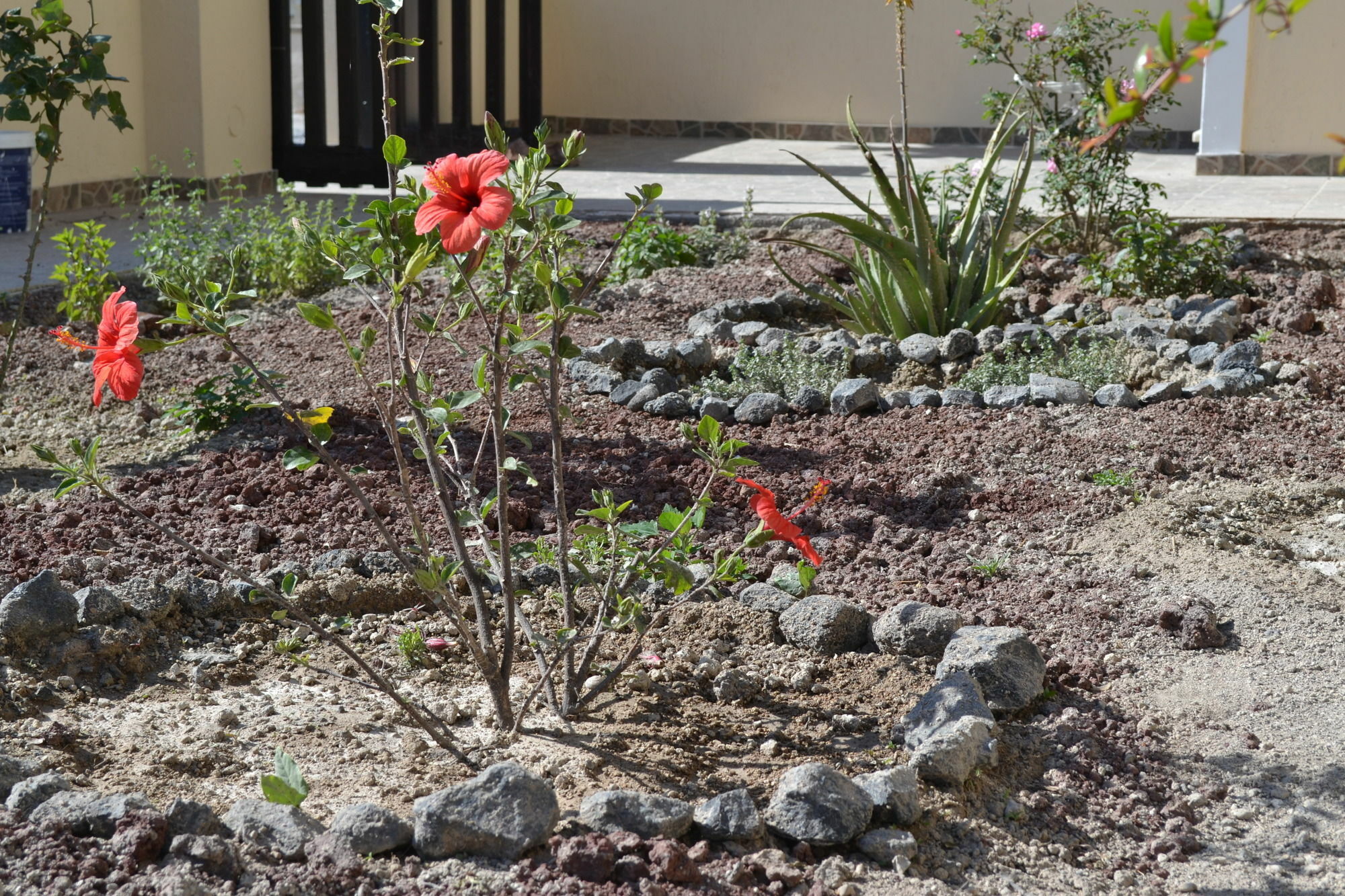 Guest house Floralia