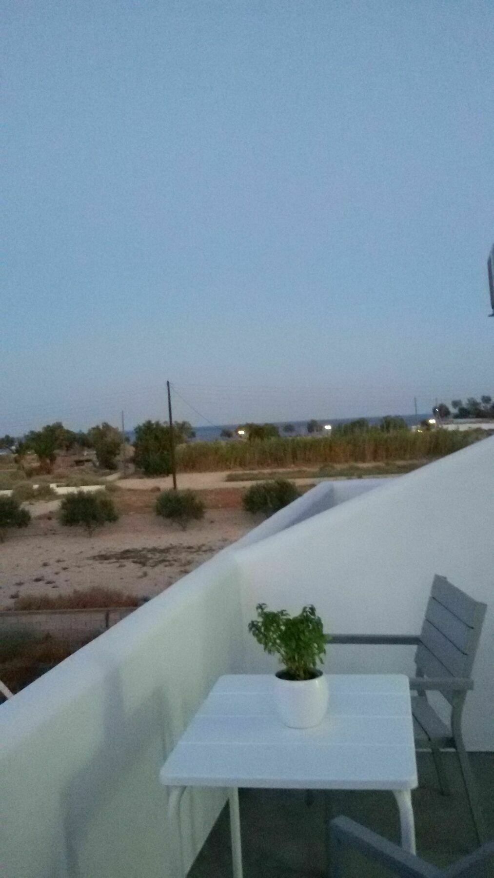 Daylight Hotel