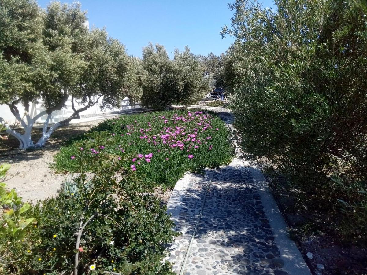 Hotel Perissa 2*