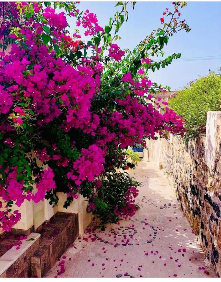 Loukas Kontos Traditional House