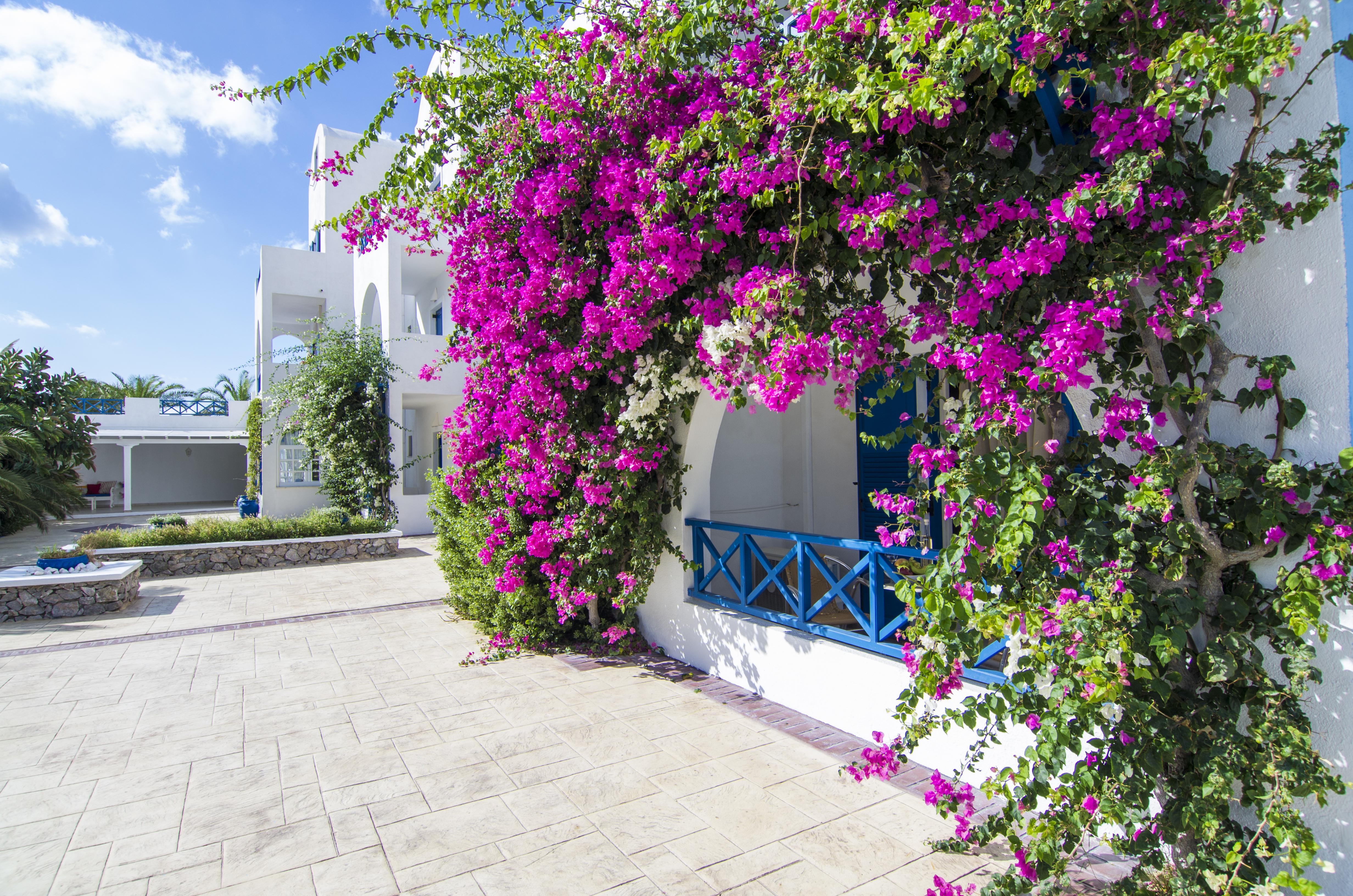 Margarenia Perissa (Santorini)