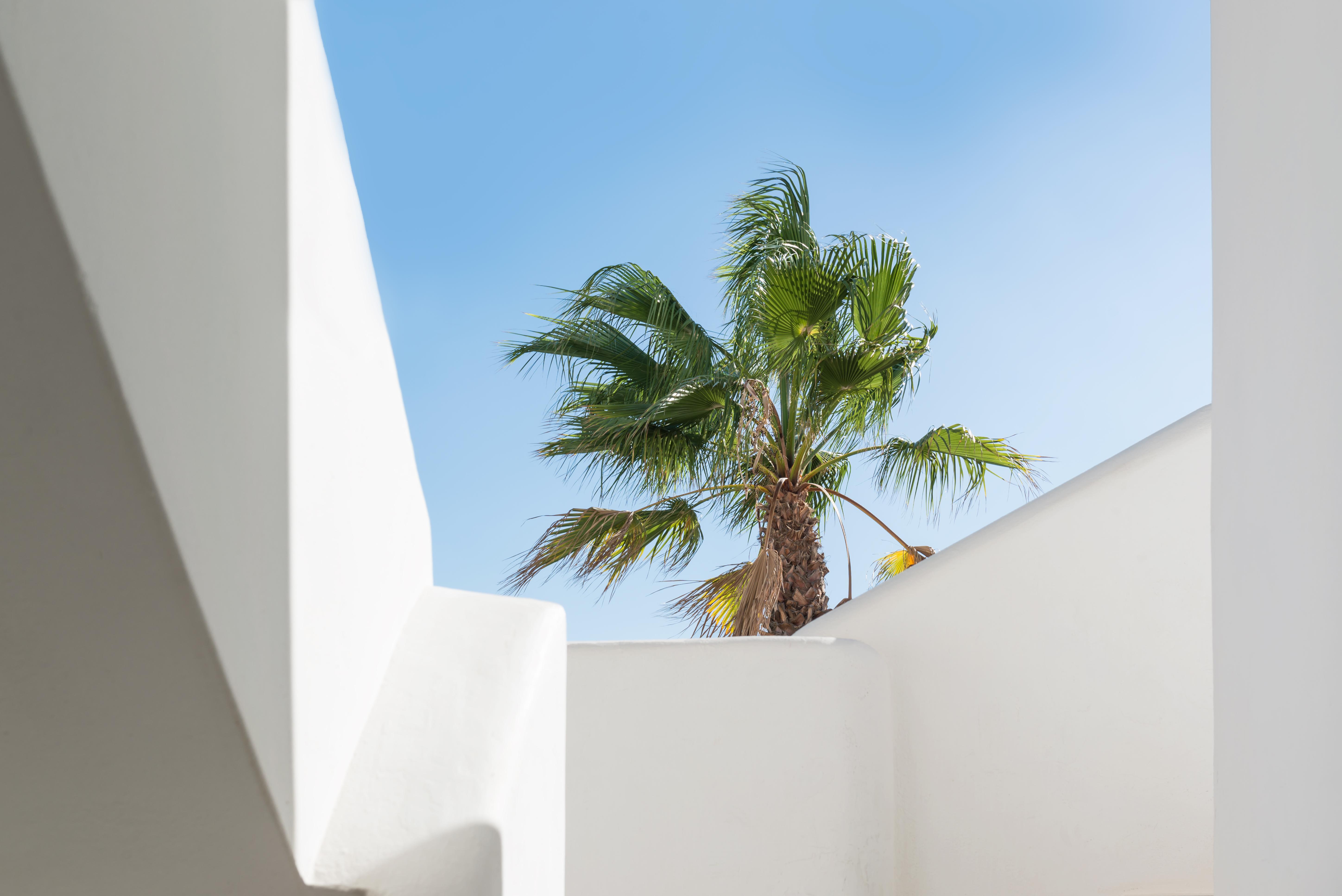 Hotel Smy Mediterranean White Santorini (adults Only)