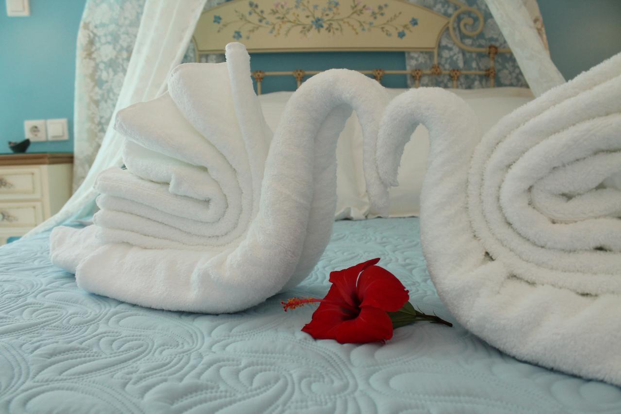 Evizorzia Apartamento