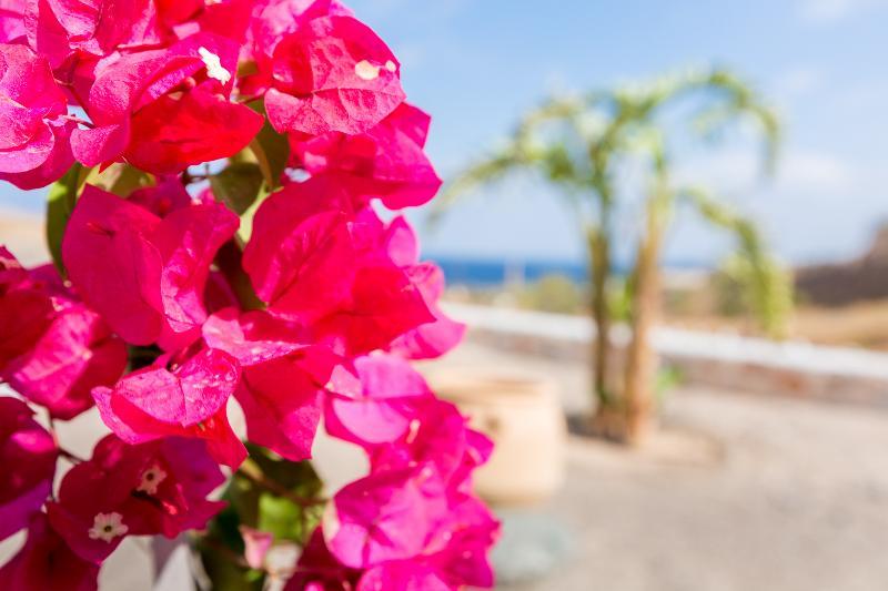Desiterra & 5* Karterados (Santorini)