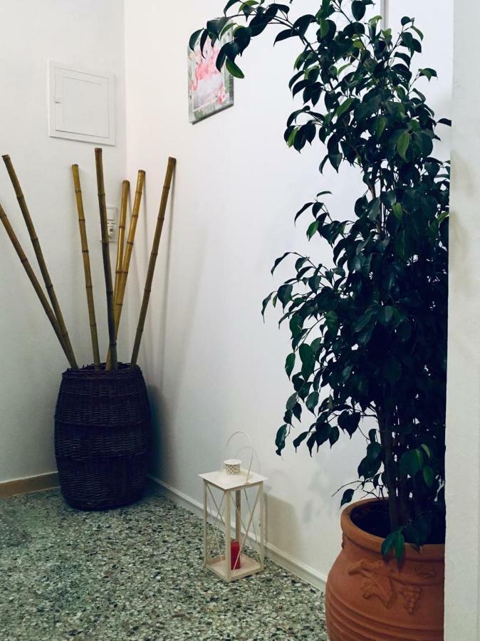 Atlantida Spacious Flat