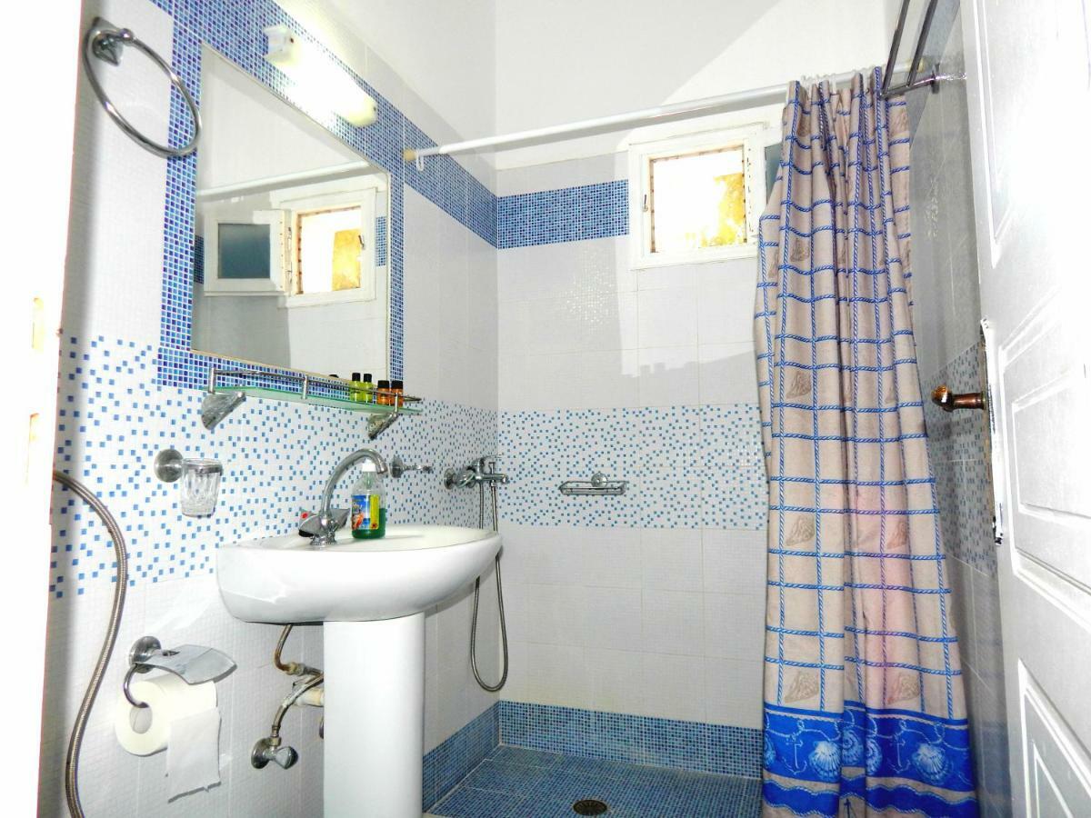 Evelina Pension: Diverse Near Black *